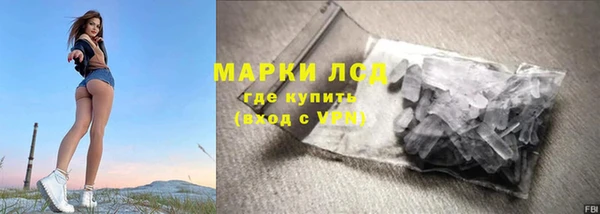 прущие грибы Бронницы