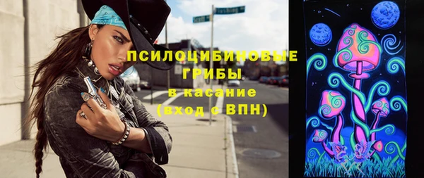 прущие грибы Бронницы